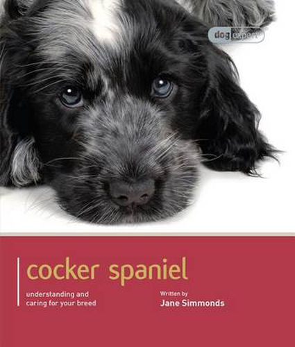 Cover image for Cocker Spaniel: Cocker Spaniel - Dog Expert