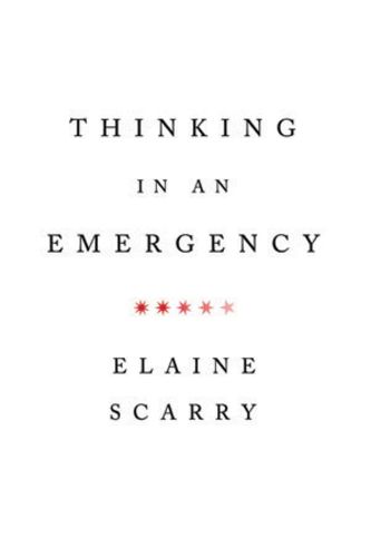 Cover image for Thinking in an Emergency