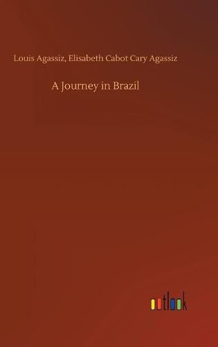 A Journey in Brazil