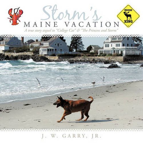 Cover image for Storm's Maine Vacation