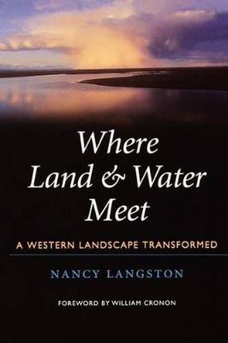Cover image for Where Land and Water Meet: A Western Landscape Transformed