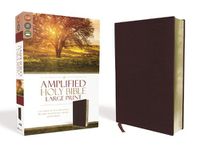 Cover image for Amplified Holy Bible, Large Print, Bonded Leather, Burgundy: Captures the Full Meaning Behind the Original Greek and Hebrew