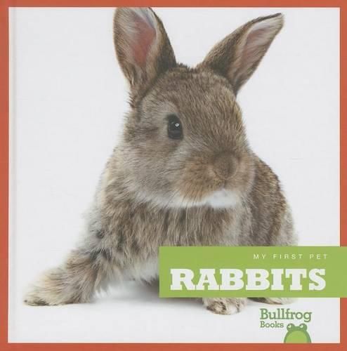 Cover image for Rabbits