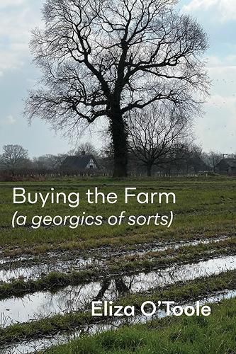 Cover image for Buying the Farm