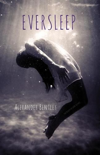 Cover image for Eversleep: The Beauty of Dark Silence