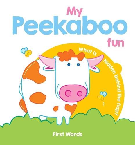 Cover image for My Peekaboo Fun First Words