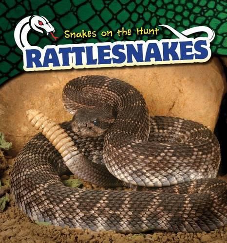 Cover image for Rattlesnakes