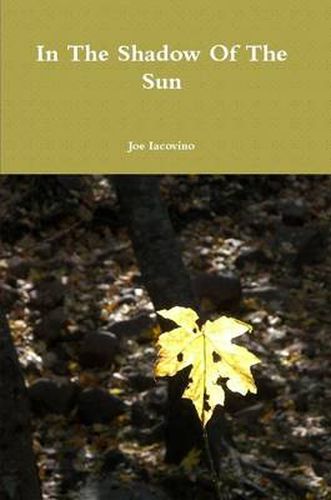 Cover image for In The Shadow Of The Sun