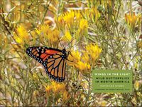 Cover image for Wings in the Light: Wild Butterflies in North America