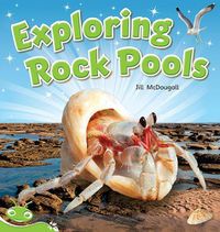 Cover image for Bug Club Level 14 - Green: Exploring Rock Pools (Reading Level 14/F&P Level H)