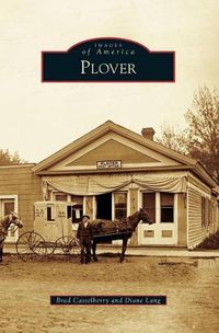 Cover image for Plover