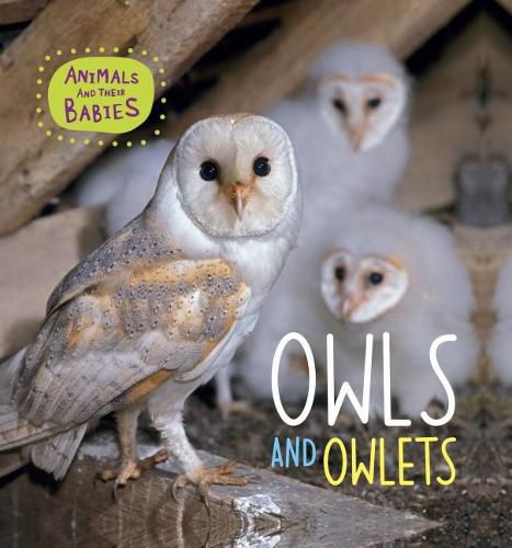 Cover image for Owls and Owlets