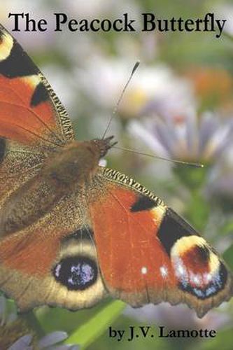 Cover image for The Peacock Butterfly