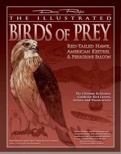 Cover image for The Illustrated Birds of Prey: Red Tailed Hawk, American Kestrel and Peregrine Falcon