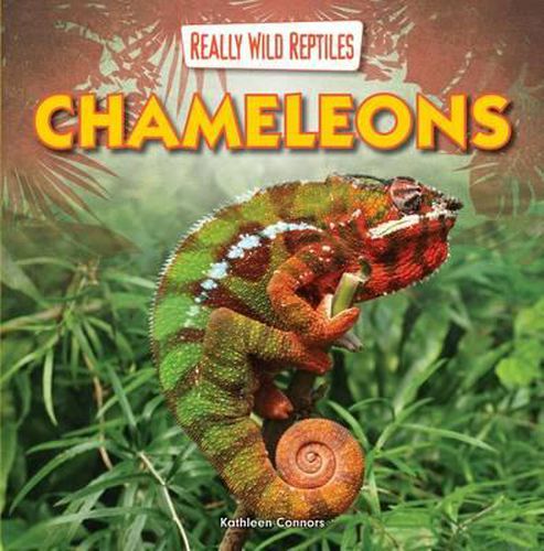 Cover image for Chameleons