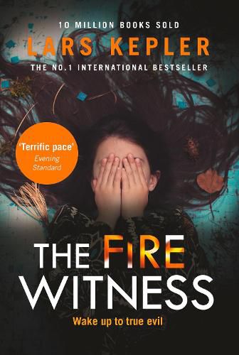 Cover image for The Fire Witness