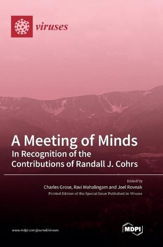 Cover image for A Meeting of Minds