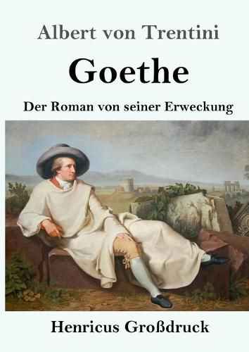 Cover image for Goethe (Grossdruck): Der Roman von seiner Erweckung