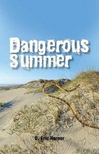 Cover image for Dangerous Summer