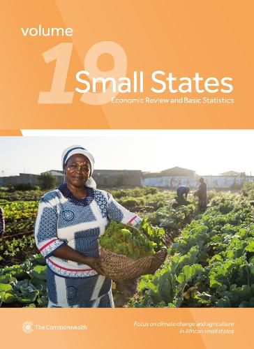 Cover image for Small States: Economic Review and Basic Statistics