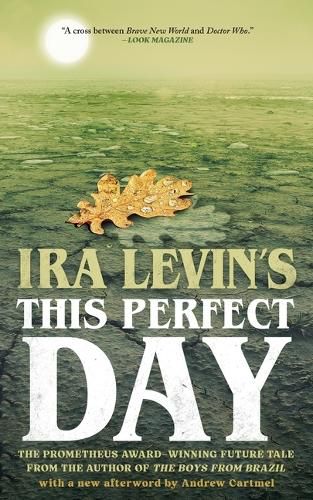 Cover image for This Perfect Day