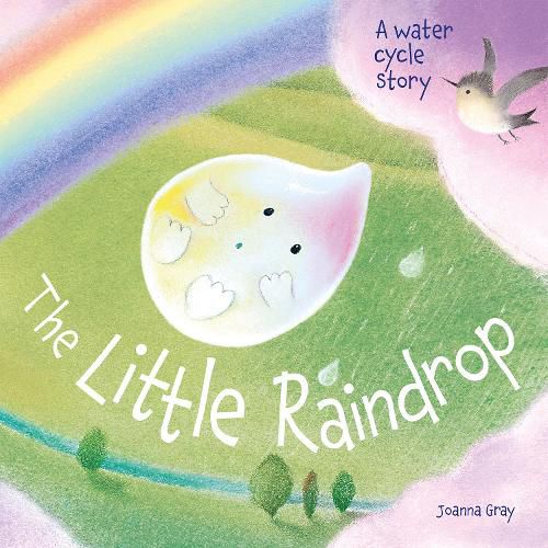 Cover image for The Little Raindrop - A water cycle story