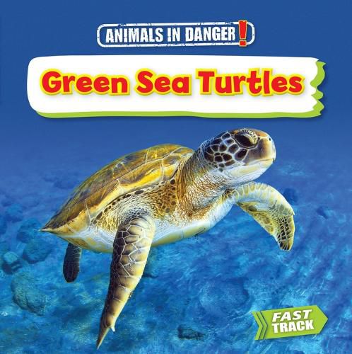 Cover image for Green Sea Turtles