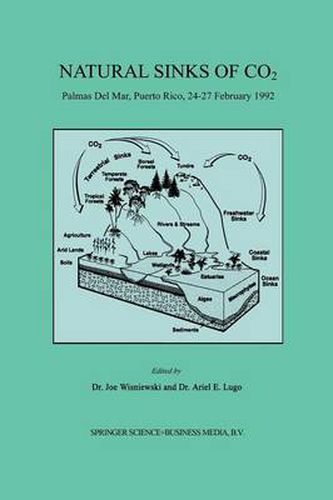 Cover image for Natural Sinks of CO2: Palmas Del Mar, Puerto Rico, 24-27 February 1992