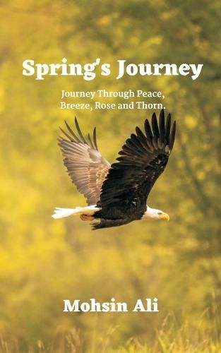 Cover image for Springs Journey