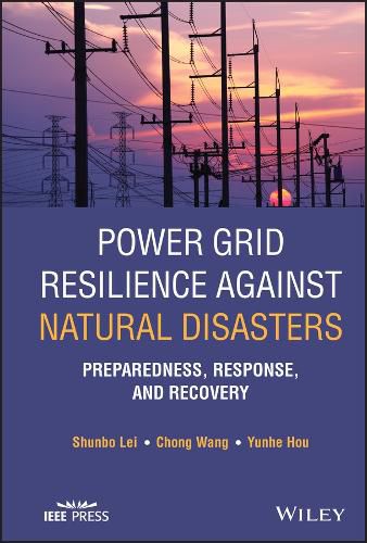 Power Grid Resilience against Natural Disasters: Preparedness, Response, and Recovery