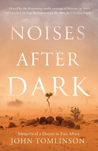 Cover image for Noises After Dark