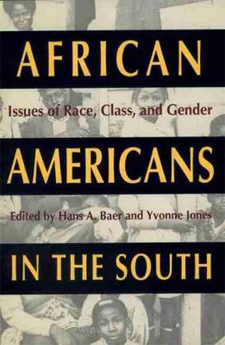 Cover image for African Americans in the South: Issues of Race, Class and Gender