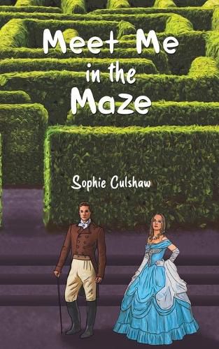 Cover image for Meet Me in the Maze