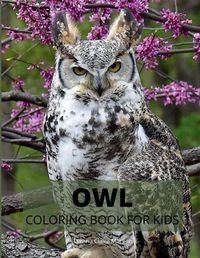 Cover image for Owl Coloring Book for Kids