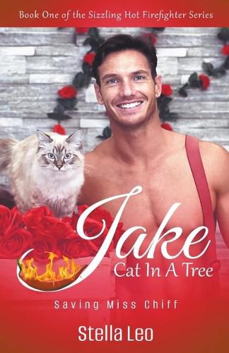 Cover image for Jake