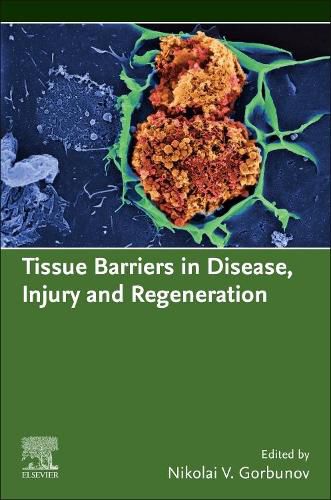 Cover image for Tissue Barriers in Disease, Injury and Regeneration