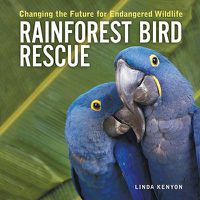 Cover image for Rainforest Bird Rescue: Changing the Future for Endangered Wildlife