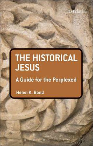 Cover image for The Historical Jesus: A Guide for the Perplexed