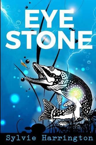 Cover image for Eye Stone