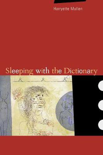 Cover image for Sleeping with the Dictionary