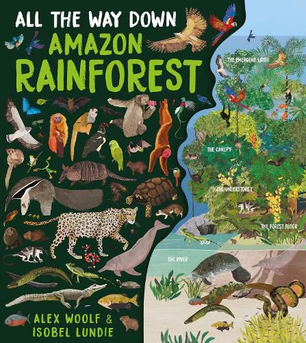 Cover image for All The Way Down: Amazon Rainforest