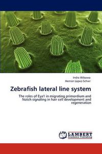 Cover image for Zebrafish Lateral Line System