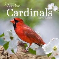 Cover image for Audubon Cardinals Mini Wall Calendar 2025