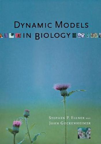 Cover image for Dynamic Models in Biology