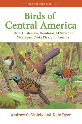 Cover image for Birds of Central America: Belize, Guatemala, Honduras, El Salvador, Nicaragua, Costa Rica, and Panama