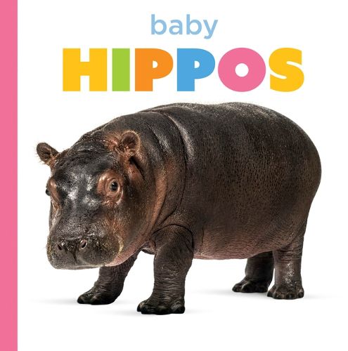 Cover image for Baby Hippos