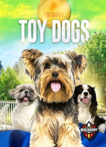 Cover image for Toy Dogs