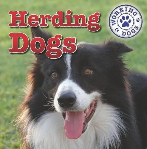 Herding Dogs