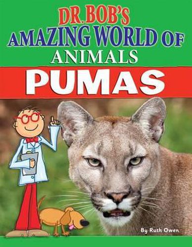 Cover image for Pumas