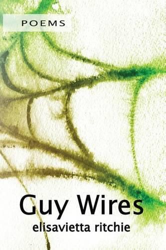 Cover image for Guy Wires